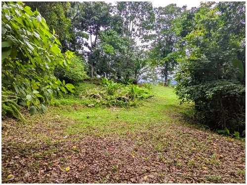 Affordable land for sale Costa Rica, owner financing Costa Rica, Puerto Viejo real estate, Punta Uva land, gated community Costa Rica, Caribbean coast property, titled land for sale, small building lo