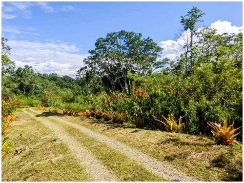 Affordable land for sale Costa Rica, owner financing Costa Rica, Puerto Viejo real estate, Punta Uva land, gated community Costa Rica, Caribbean coast property, titled land for sale, small building lo