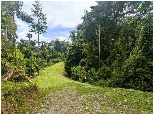 Affordable land for sale Costa Rica, owner financing Costa Rica, Puerto Viejo real estate, Punta Uva land, gated community Costa Rica, Caribbean coast property, titled land for sale, small building lo