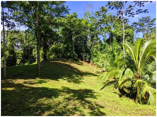 Affordable land for sale Costa Rica, owner financing Costa Rica, Puerto Viejo real estate, Punta Uva land, gated community Costa Rica, Caribbean coast property, titled land for sale, small building lo