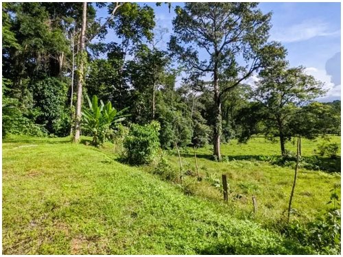 Affordable land for sale Costa Rica, owner financing Costa Rica, Puerto Viejo real estate, Punta Uva land, gated community Costa Rica, Caribbean coast property, titled land for sale, small building lo