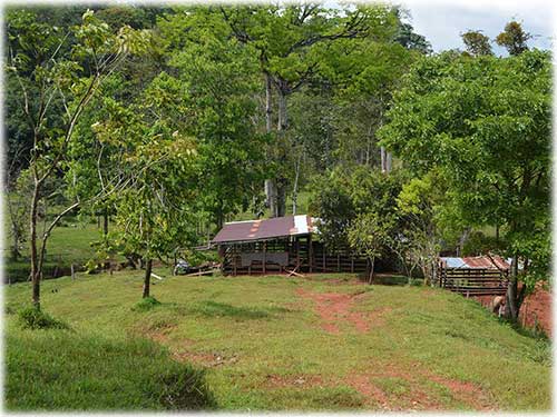 osa peninsula, investment, puntarenas, south pacific, easy access, tranquil location, forest, spacious open-air