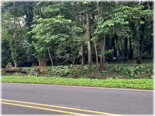 road access, manzanillo, caribbean, caribe, for sale, land for sale, investment opportunity