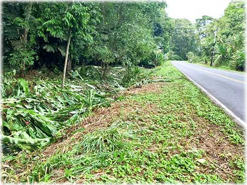 road access, manzanillo, caribbean, caribe, for sale, land for sale, investment opportunity
