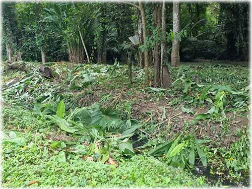 road access, manzanillo, caribbean, caribe, for sale, land for sale, investment opportunity