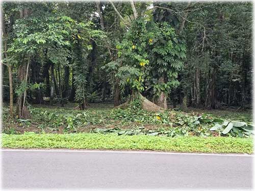 road access, manzanillo, caribbean, caribe, for sale, land for sale, investment opportunity