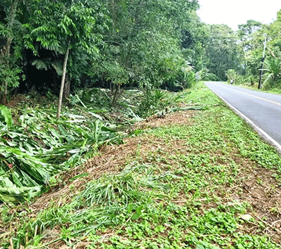 Nature Meets Opportunity: Spacious Property in Manzanillo