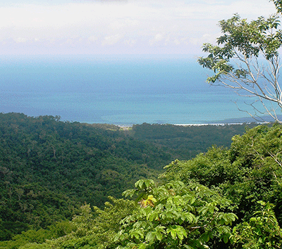 Panoramic Ocean Views, Quality Home, Pool – Lowest Price