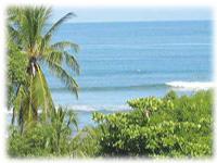 Jaco Real Estate