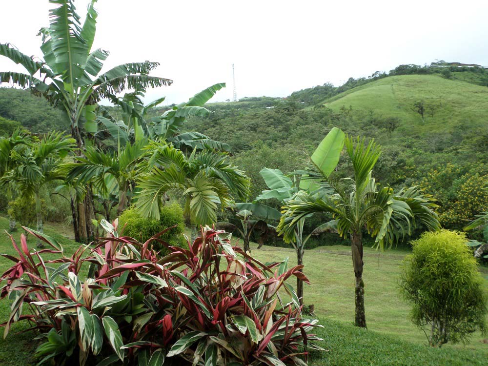 Mountain houses in San Ramon, Family Compound in San Ramon, Rental Property for Sale/Rent San Ramon, Central highlands houses for sale, houses for sale in the Mountains of Costa Rica, Live and invest in Costa Rica. Investment properties of costa rica, line in san ramon costa rica, san ramon costa rica, homes for rent in san ramon costa rica