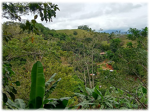 dominical real estate, beach, south pacific, land, for sale, hills, nature, river, mountain properties, development opportunity