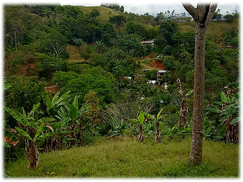 dominical real estate, beach, south pacific, land, for sale, hills, nature, river, mountain properties, development opportunity