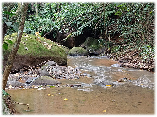 dominical real estate, beach, south pacific, land, for sale, hills, nature, river, mountain properties, development opportunity