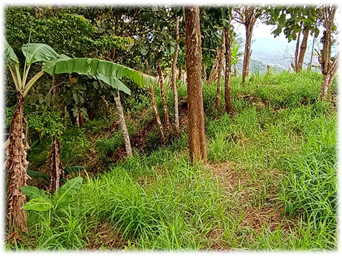 dominical real estate, beach, south pacific, land, for sale, hills, nature, river, mountain properties, development opportunity