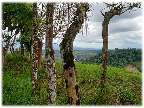 dominical real estate, beach, south pacific, land, for sale, hills, nature, river, mountain properties, development opportunity