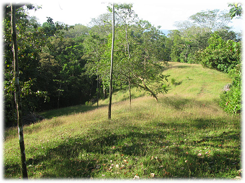 costa rica land for sale, invest in costa rica, investment, uvita real estate, dominical real estate