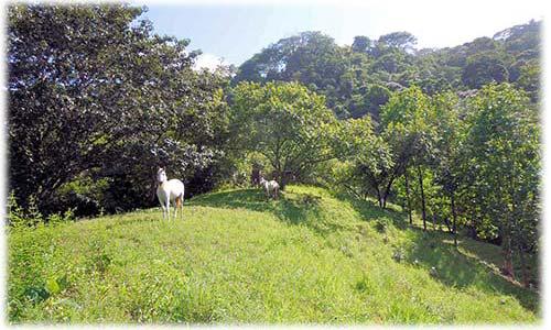 costa rica land for sale, invest in costa rica, investment, uvita real estate, dominical real estate