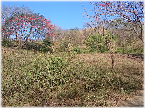 land for sale, beach properties, north pacific, guancaste real estate, development, investments