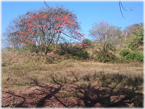 land for sale, beach properties, north pacific, guancaste real estate, development, investments