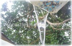 Limon for sale, unique home, nature, privacy, original, design, playa negra, puerto viejo, limon real estate, 1636