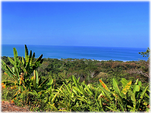 land, for, sale, real estate, south pacific, ocean views, beach properties, uniquely positionated, top locations, commercial, investments
