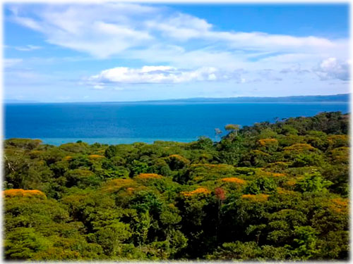 pristine, beachfront, beach properties, osa peninsula, puntarenas, land for sale