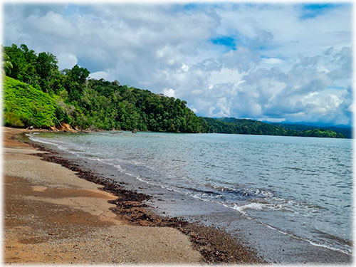 pristine, beachfront, beach properties, osa peninsula, puntarenas, land for sale