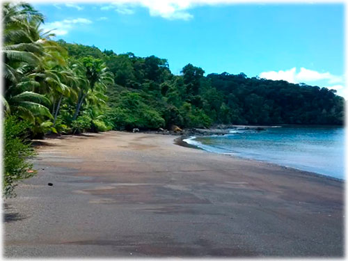 pristine, beachfront, beach properties, osa peninsula, puntarenas, land for sale