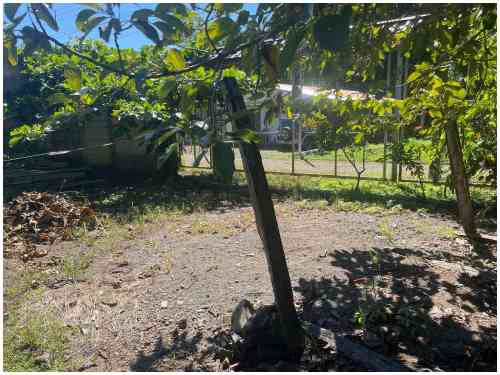 house, beach, paquera, beach properties for sale