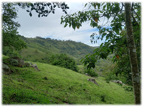 land, invest, eco-friendly, sustainable, mountain, nature, uvita, south pacific, dream land