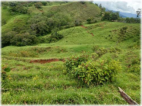 land, invest, eco-friendly, sustainable, mountain, nature, uvita, south pacific, dream land