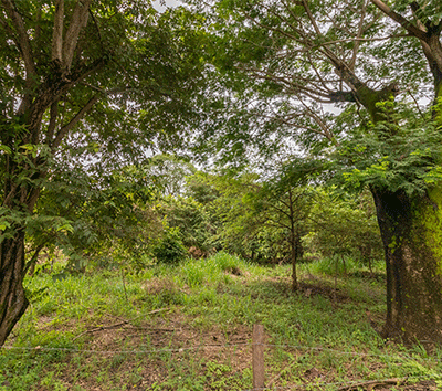 5000 m2 Mixed use lot on the main highway in Nosara