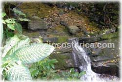 Costa Rica real estate, for sale, Dominical Costa Rica, Ocean view house, rainforest, panoramic views, wildlife, pacific ocean